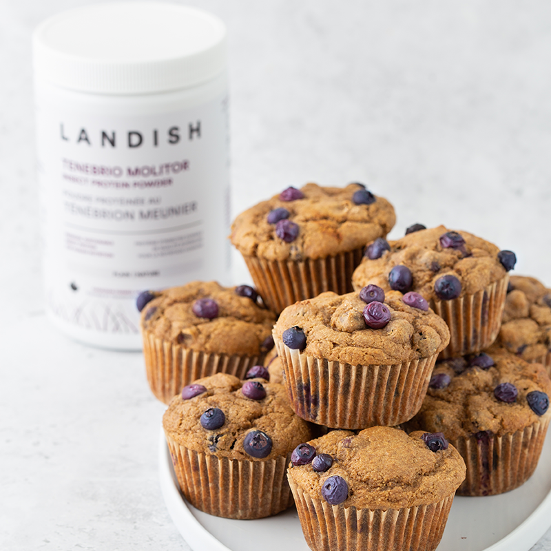 Lemon Blueberry Protein Muffins