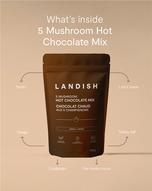 5 Mushroom Hot Chocolate Mix