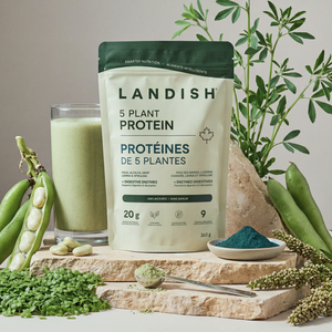 5 Plant Protein Powder