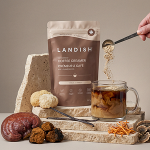 5 Mushroom Coffee Creamer