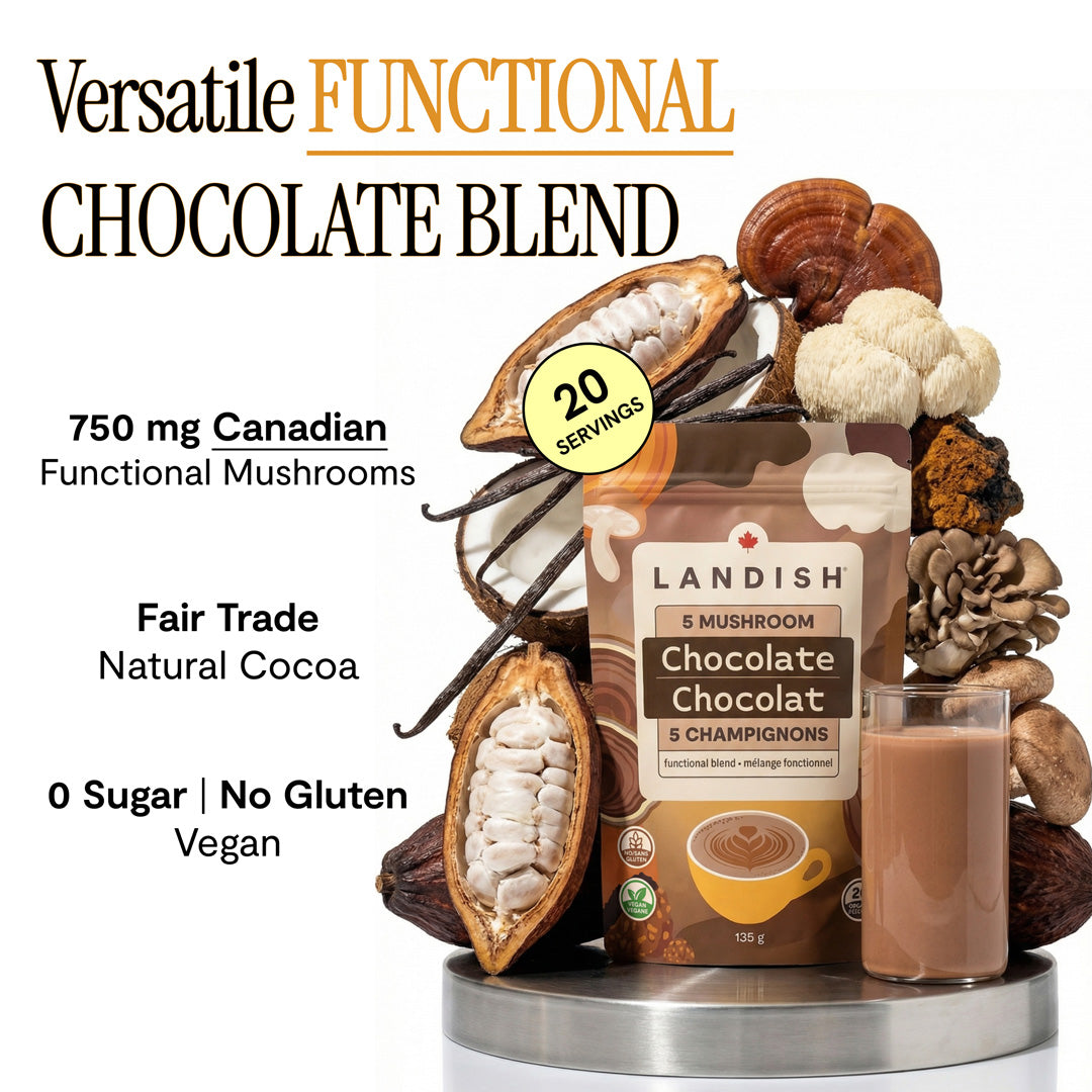 5 Mushroom Chocolate Blend