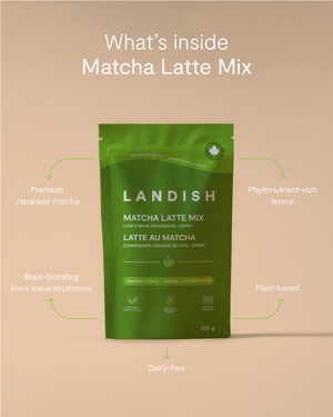 Matcha Latte Mix