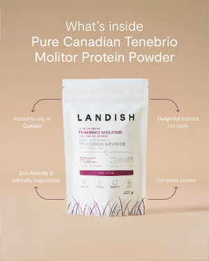 Pure Canadian Tenebrio Molitor Protein Powder