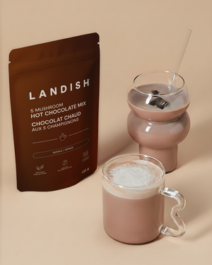 5 Mushroom Hot Chocolate Mix