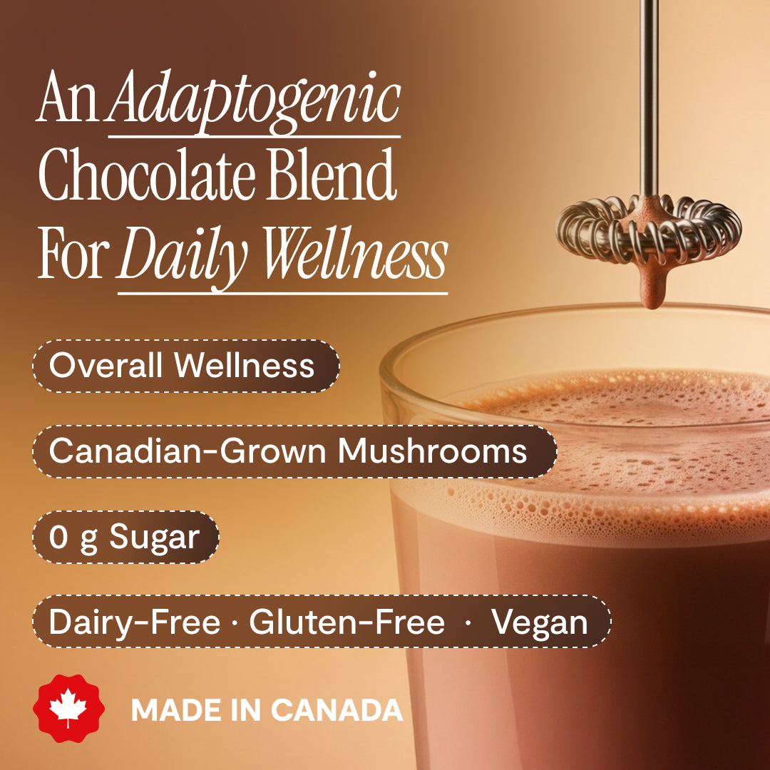 5 Mushroom Chocolate Blend