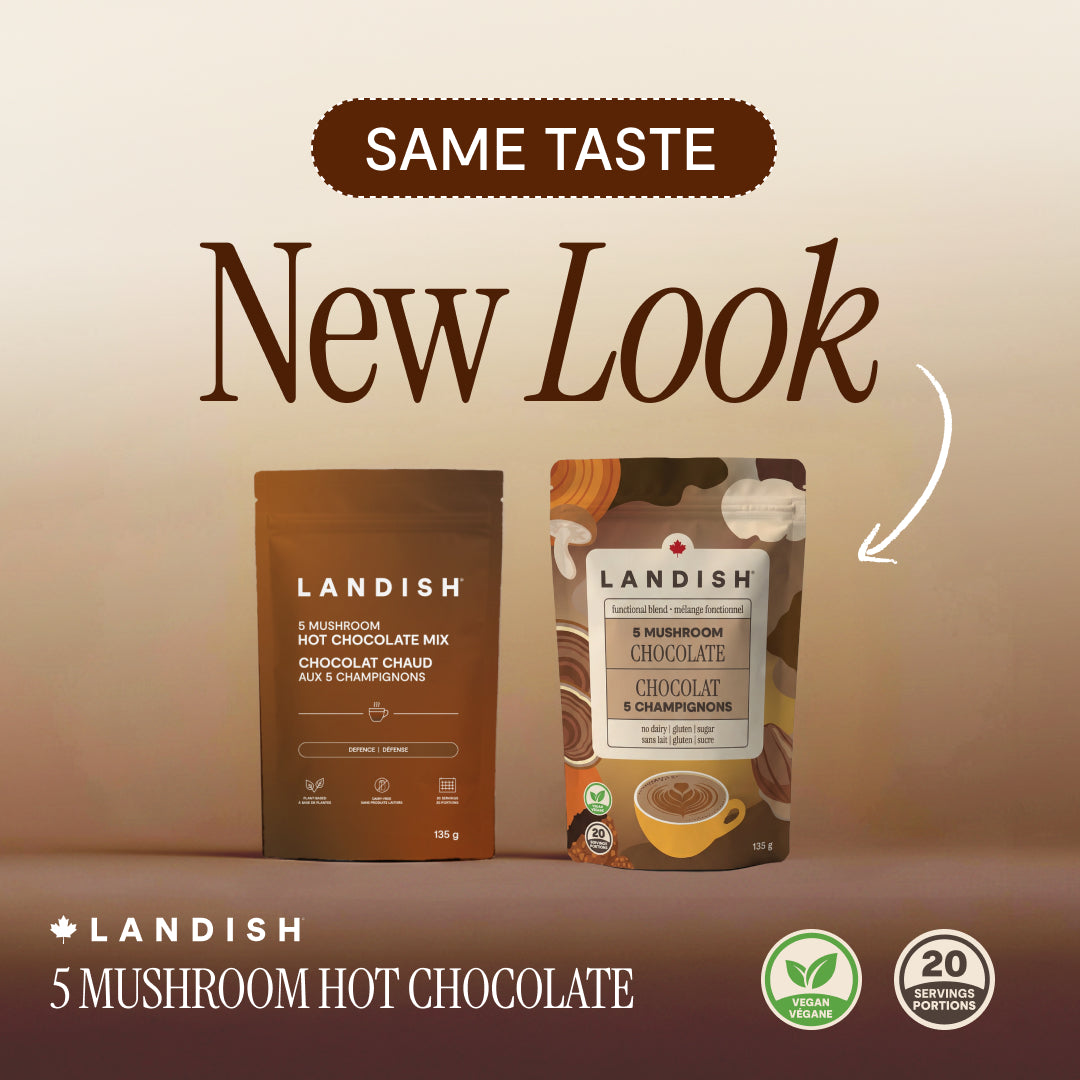 5 Mushroom Chocolate Blend