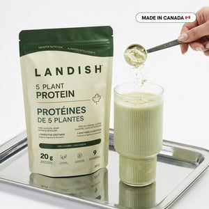 5 Plant Protein Powder