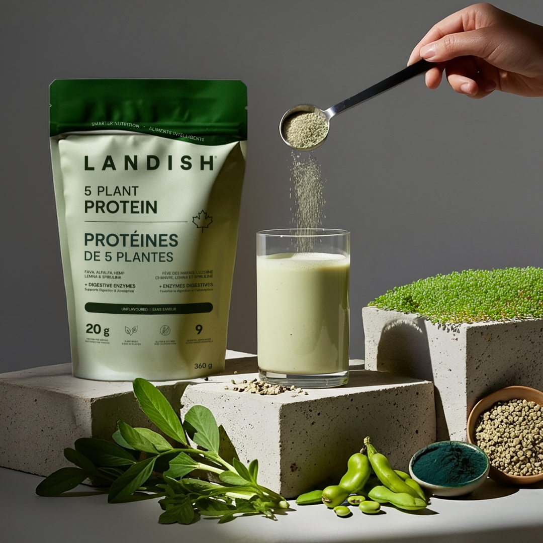 5 Plant Protein Powder