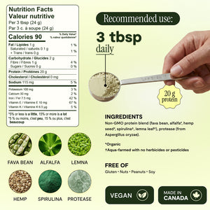 5 Plant Protein Powder