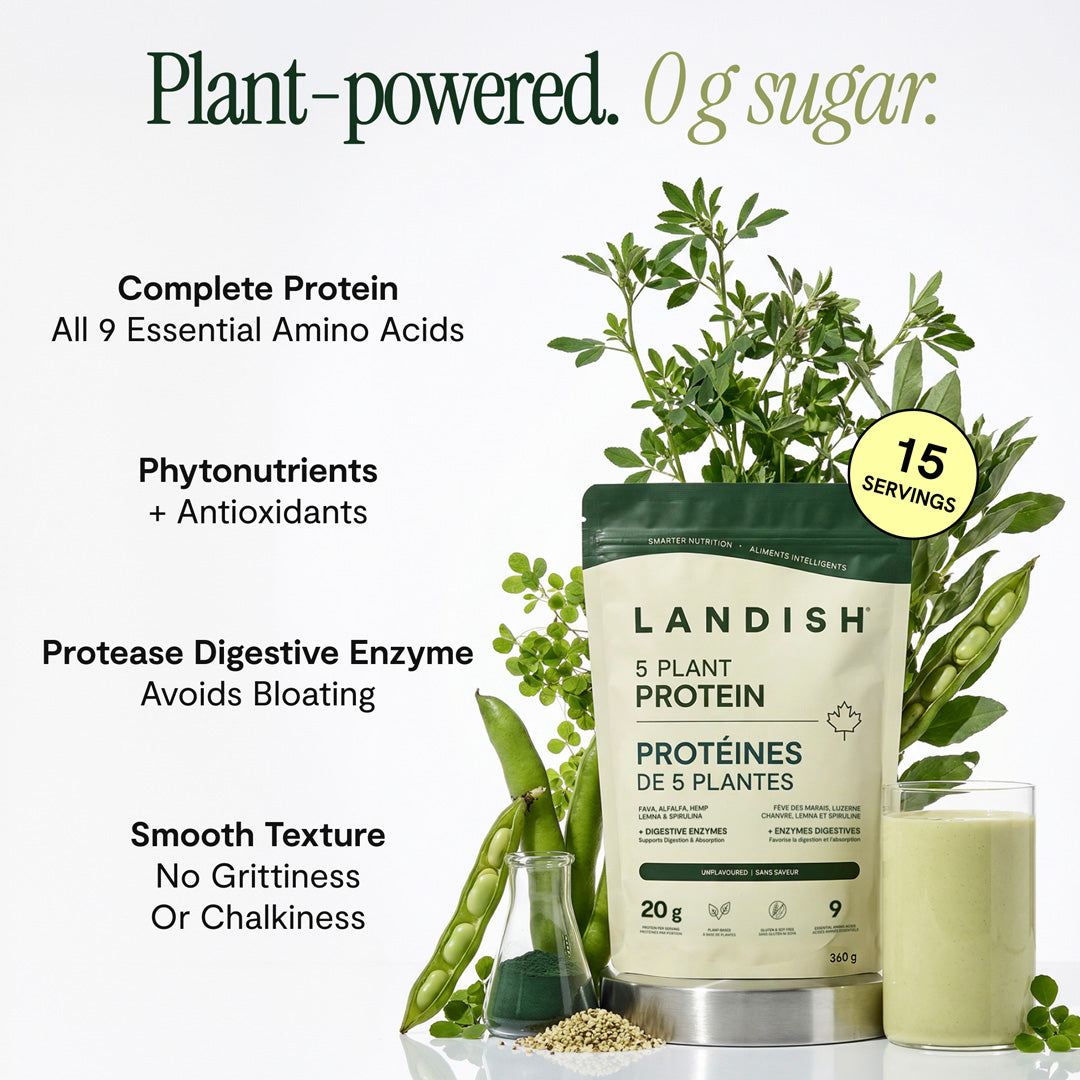 5 Plant Protein Powder