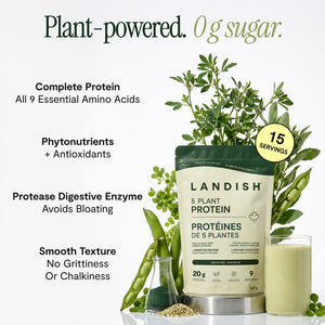 5 Plant Protein Powder