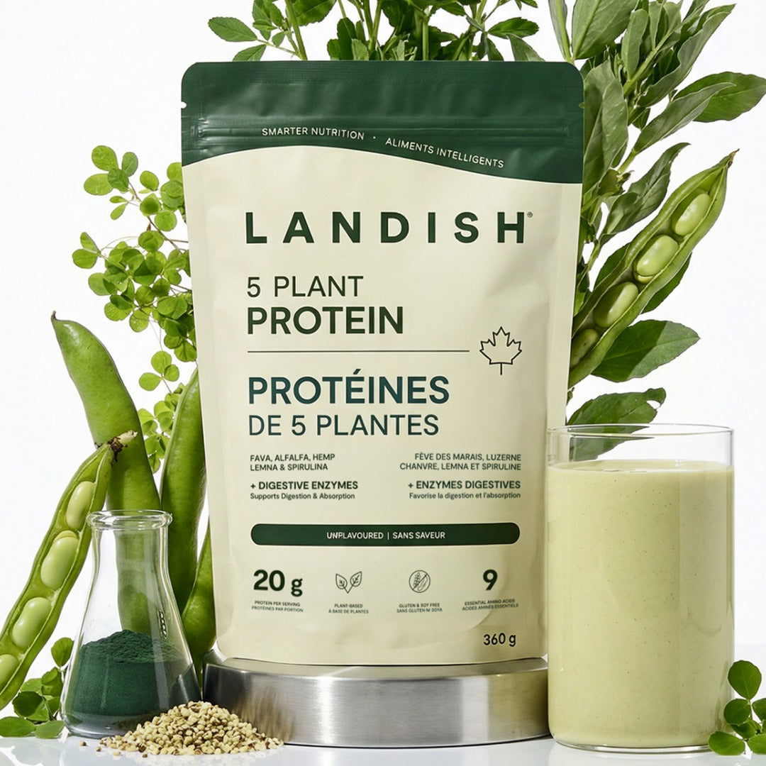 5 Plant Protein Powder