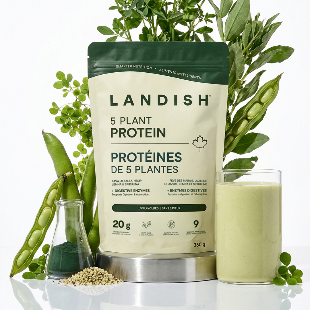 5 Plant Protein Powder