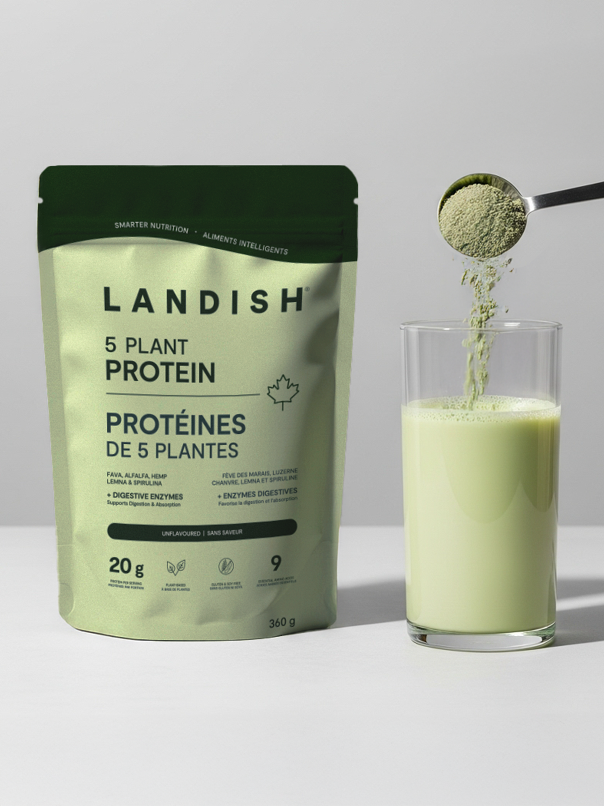 5 Plant Protein Powder