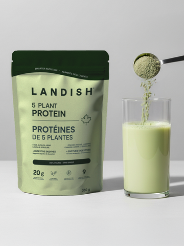 5 Plant Protein Powder