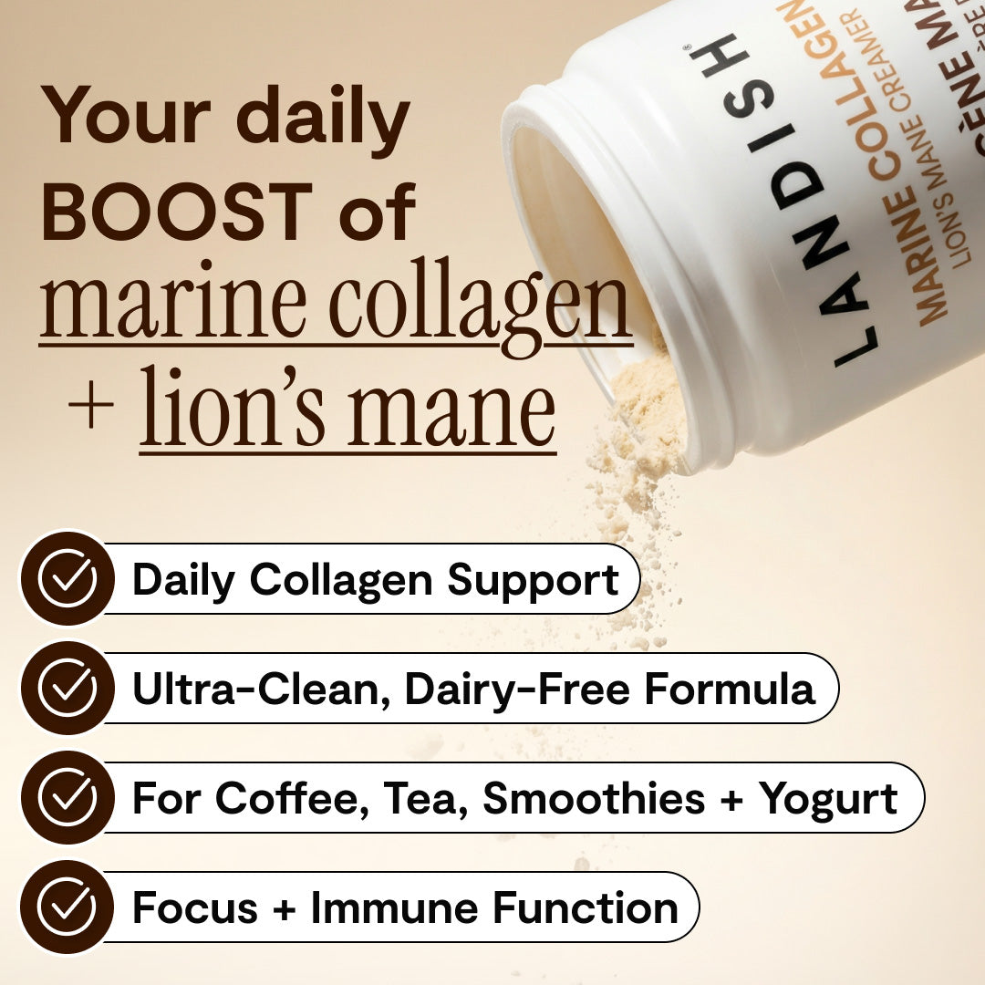 Marine Collagen Lion’s Mane Creamer