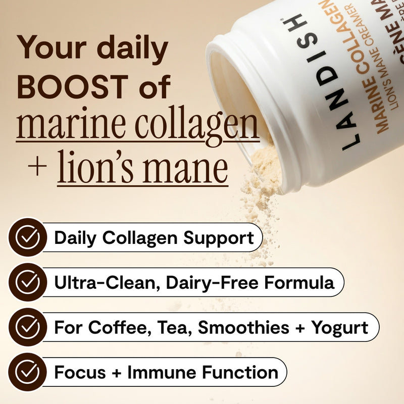 Marine Collagen Lion’s Mane Creamer