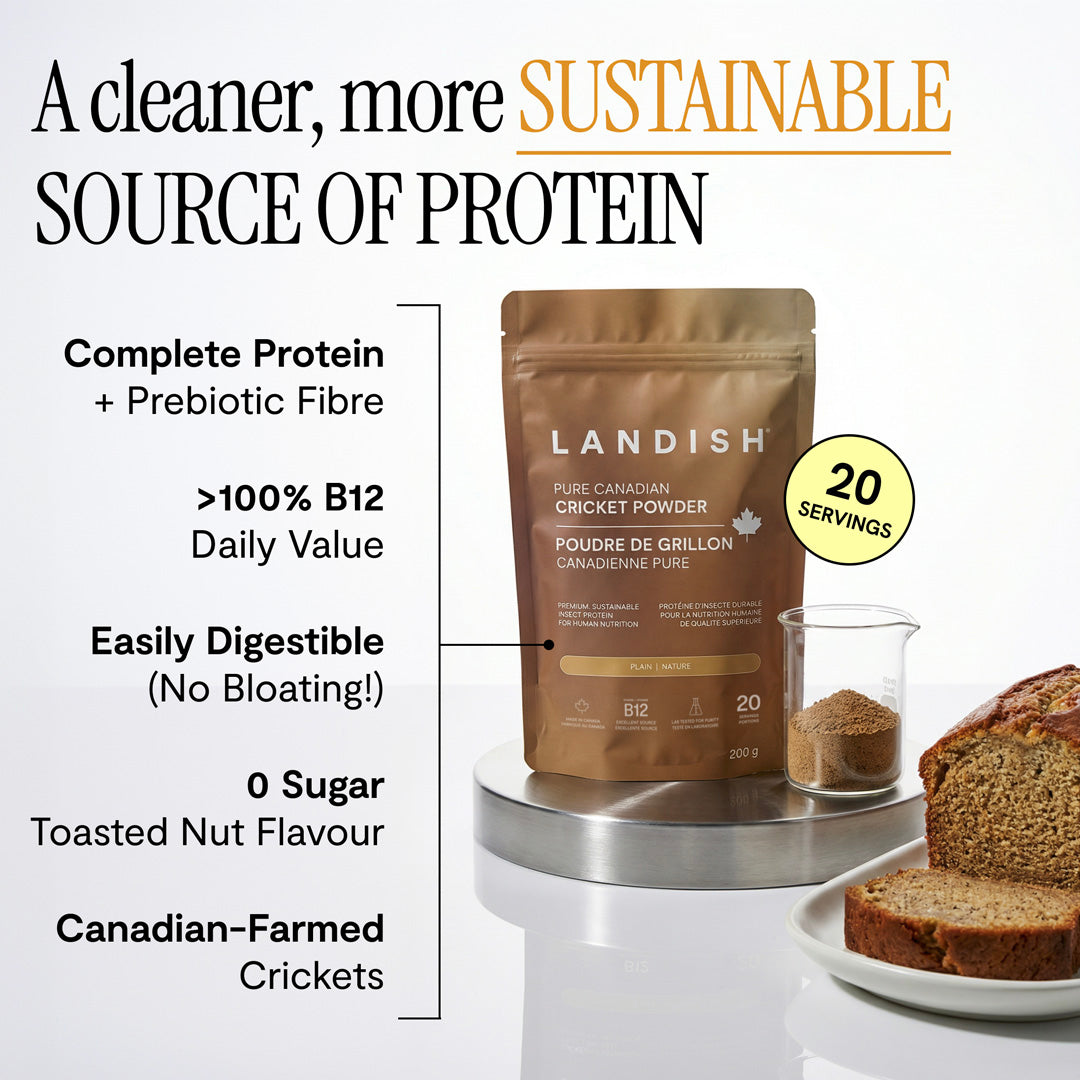 Pure Canadian Cricket Protein Powder