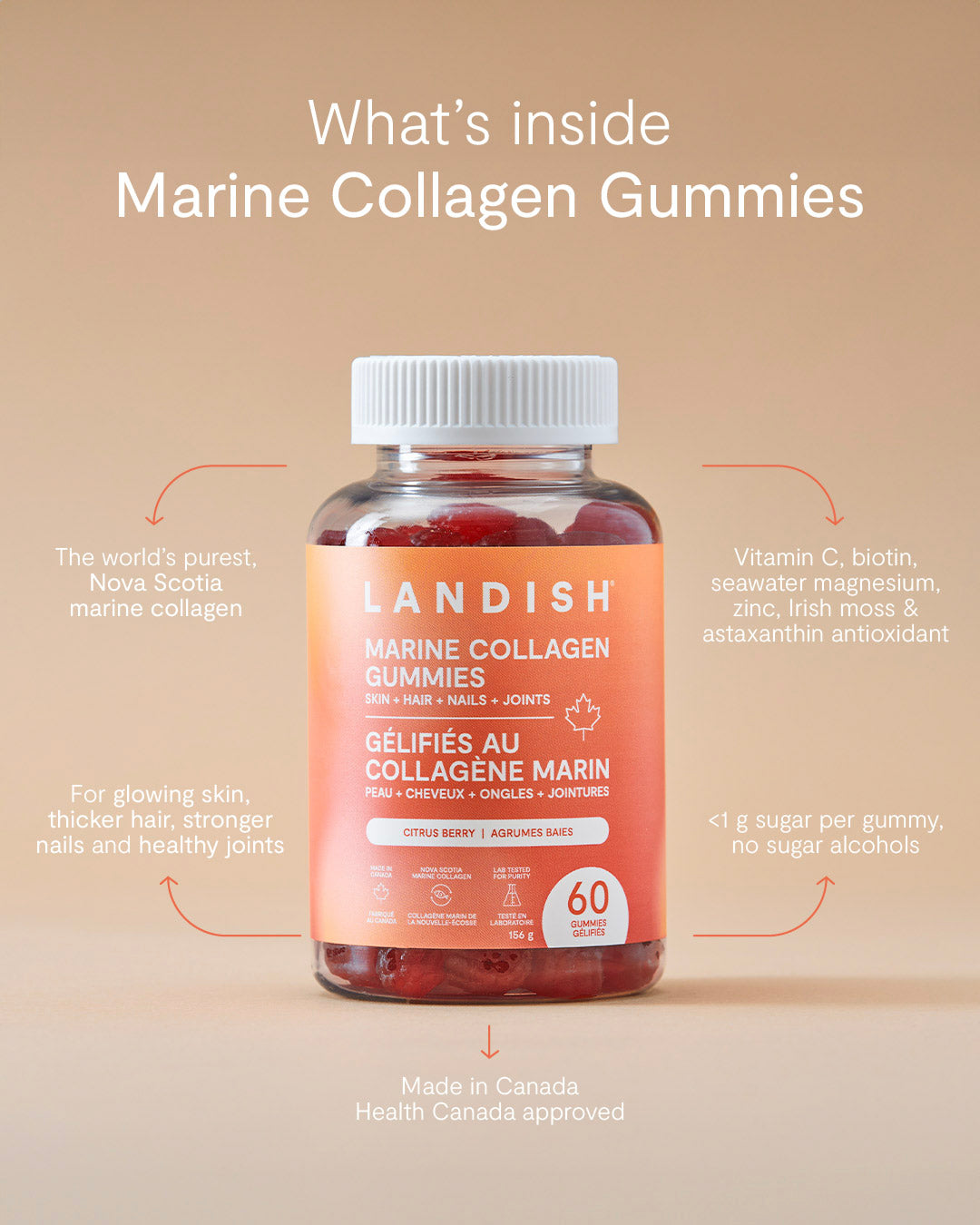 Marine Collagen Gummies - Landish