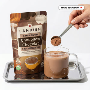 5 Mushroom Chocolate Blend