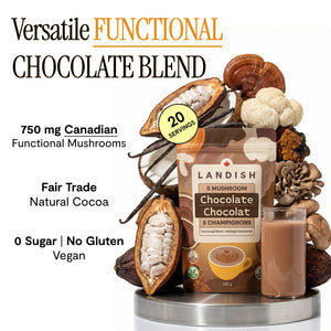 5 Mushroom Chocolate Blend