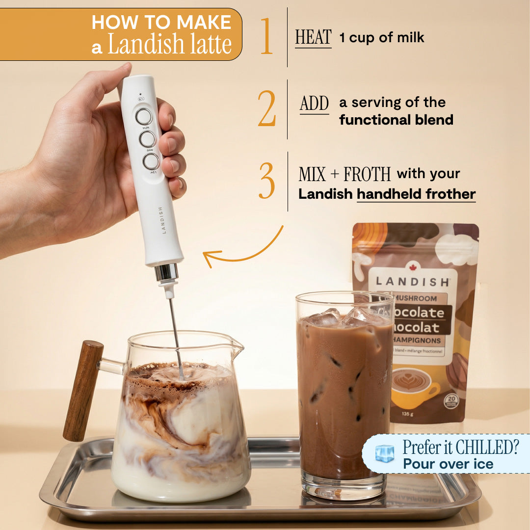 5 Mushroom Chocolate Blend