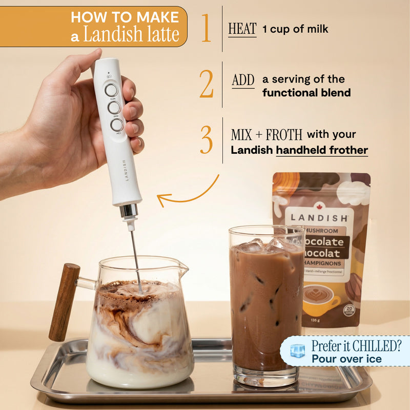 5 Mushroom Chocolate Blend