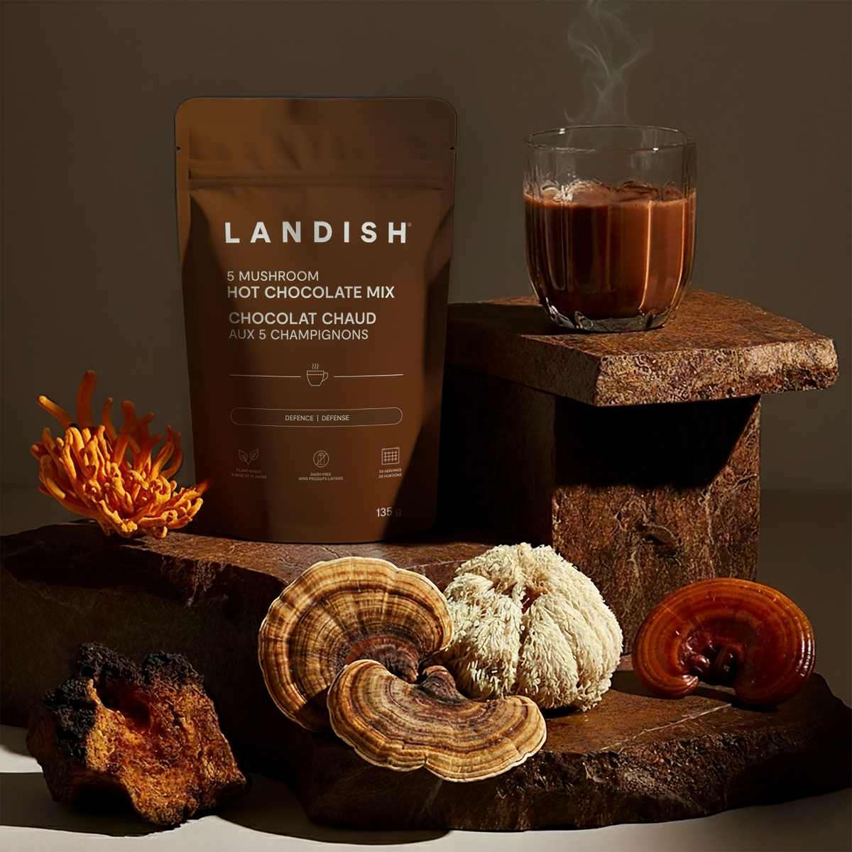 5 Mushroom Hot Chocolate Mix