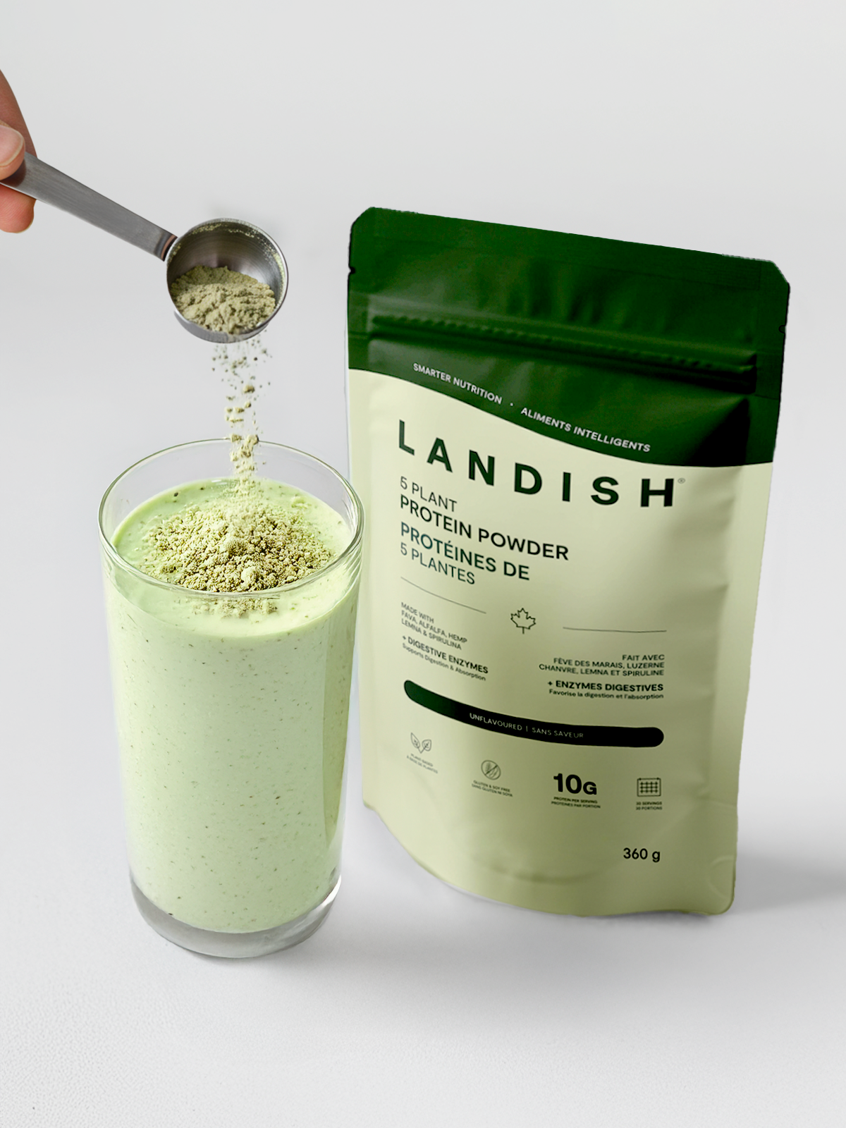 5 Plant Protein Powder
