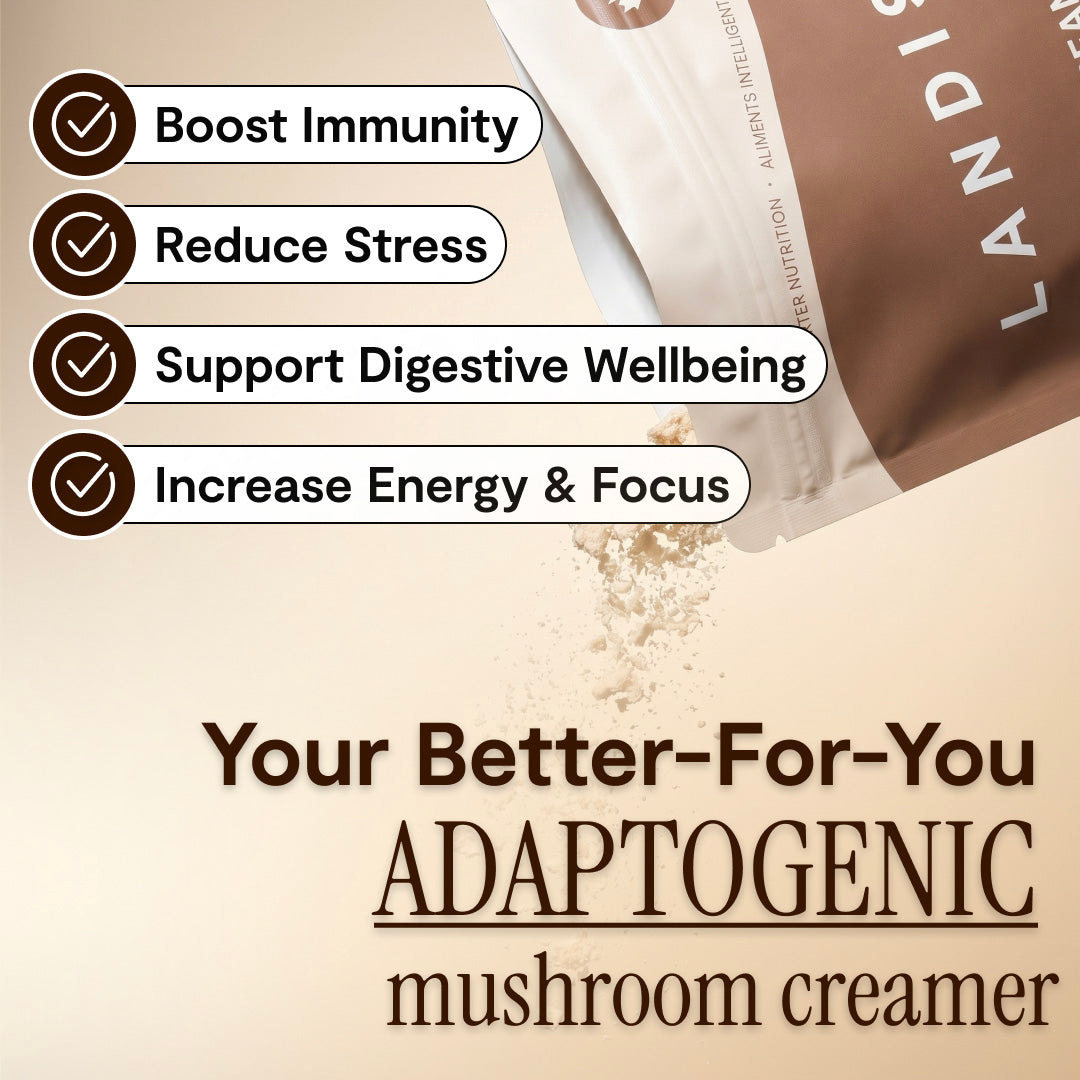 5 Mushroom Coffee Creamer