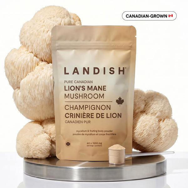 Pure Canadian Lion's Mane Mushroom