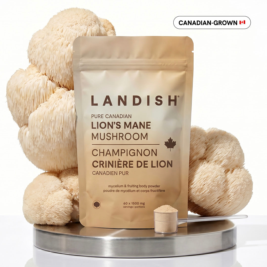 Pure Canadian Lion's Mane Mushroom