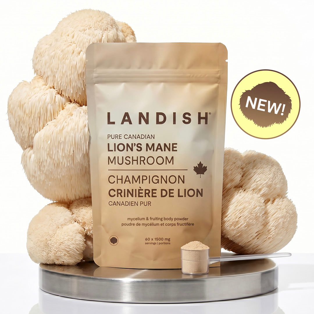 Pure Canadian Lion's Mane Mushroom