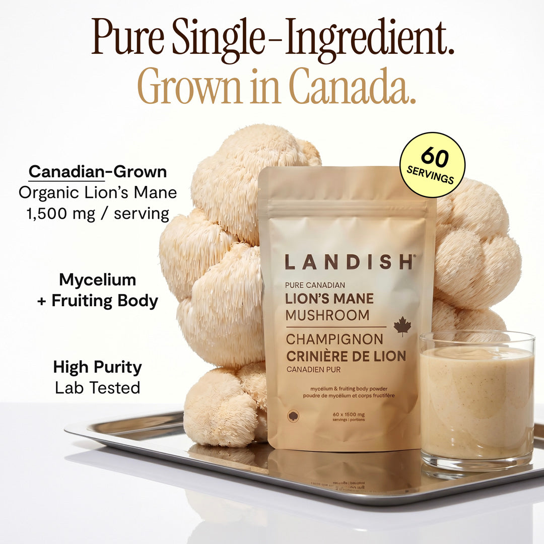 Pure Canadian Lion's Mane Mushroom