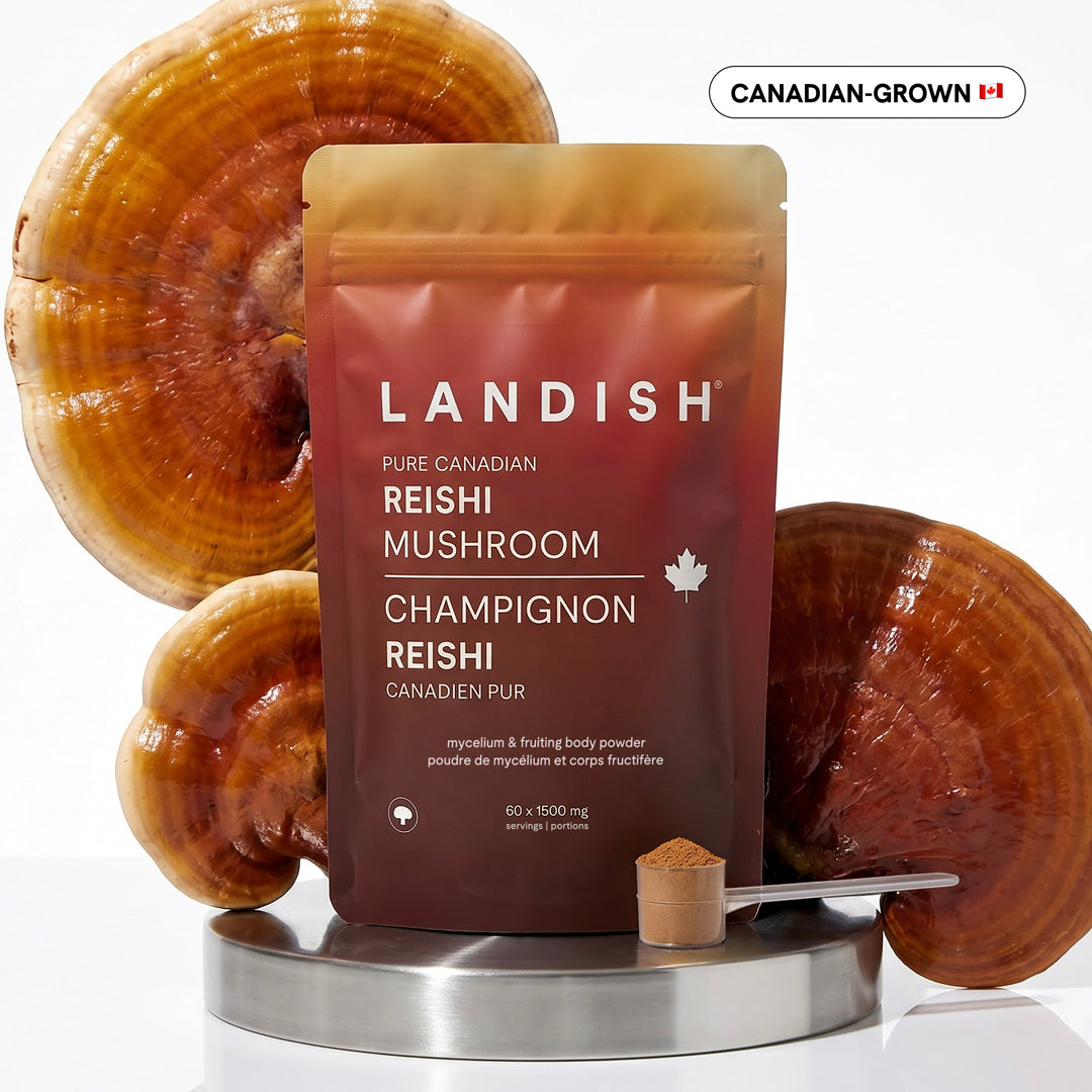 Pure Canadian Reishi Mushroom