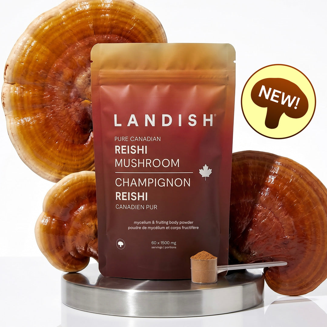 Pure Canadian Reishi Mushroom