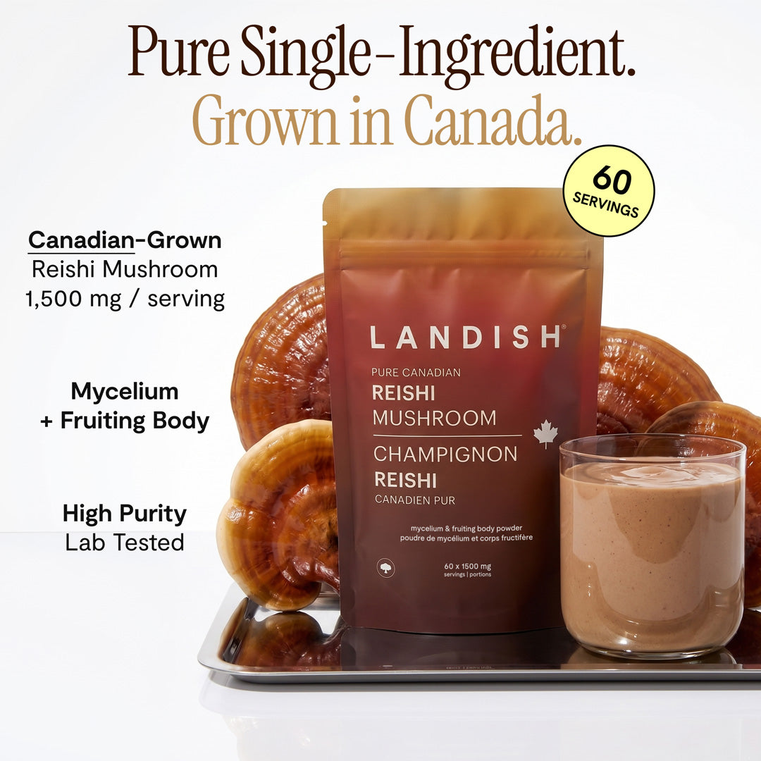Pure Canadian Reishi Mushroom