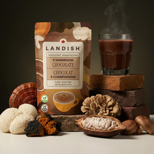 5 Mushroom Chocolate Blend