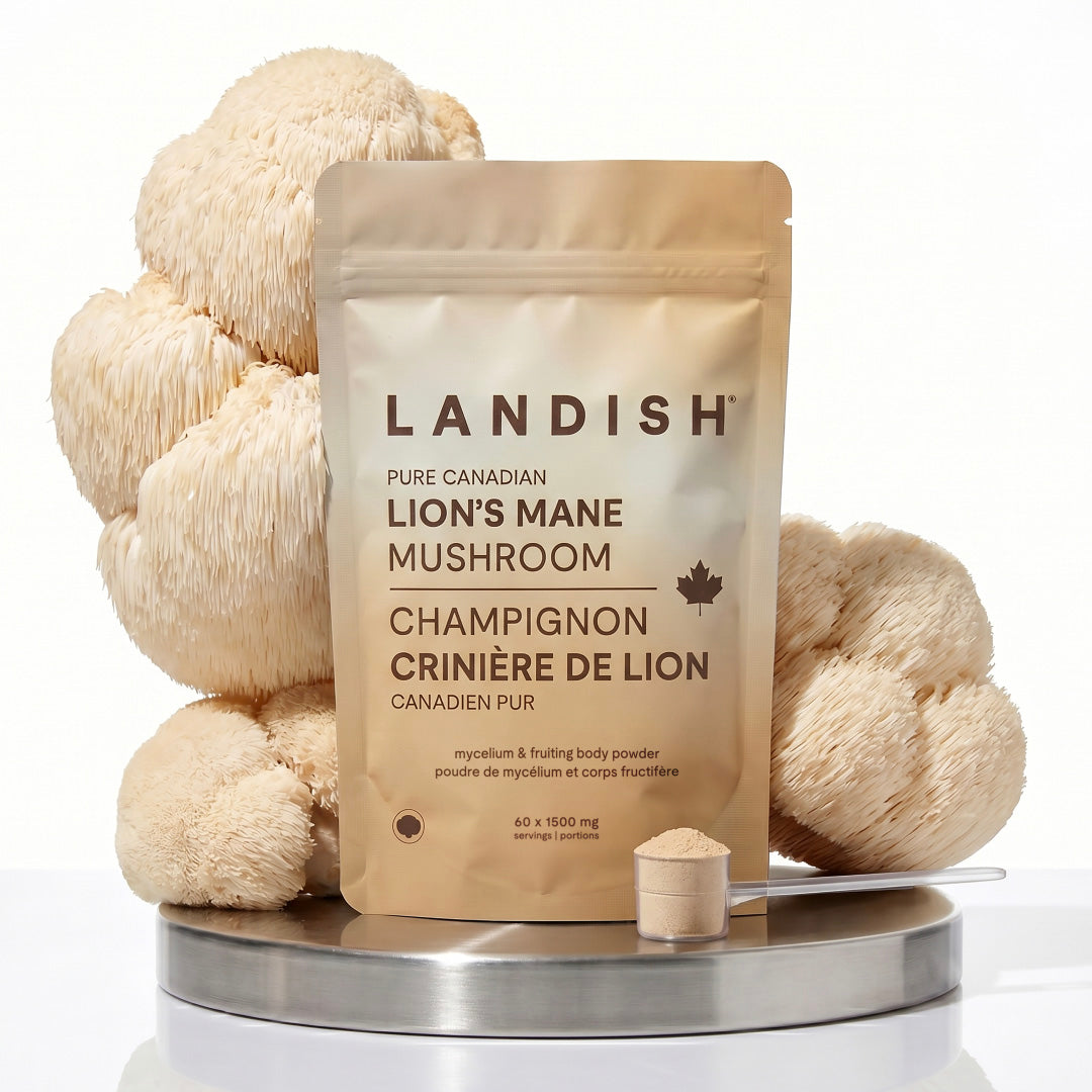Pure Canadian Lion's Mane Mushroom