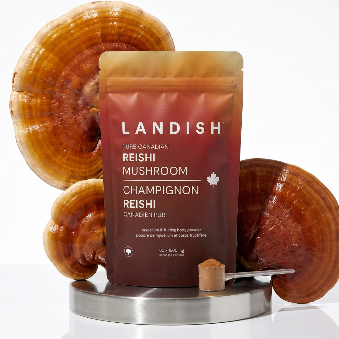 Pure Canadian Reishi Mushroom