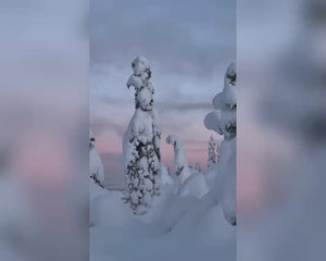 Pure Canadian Marine Collagen